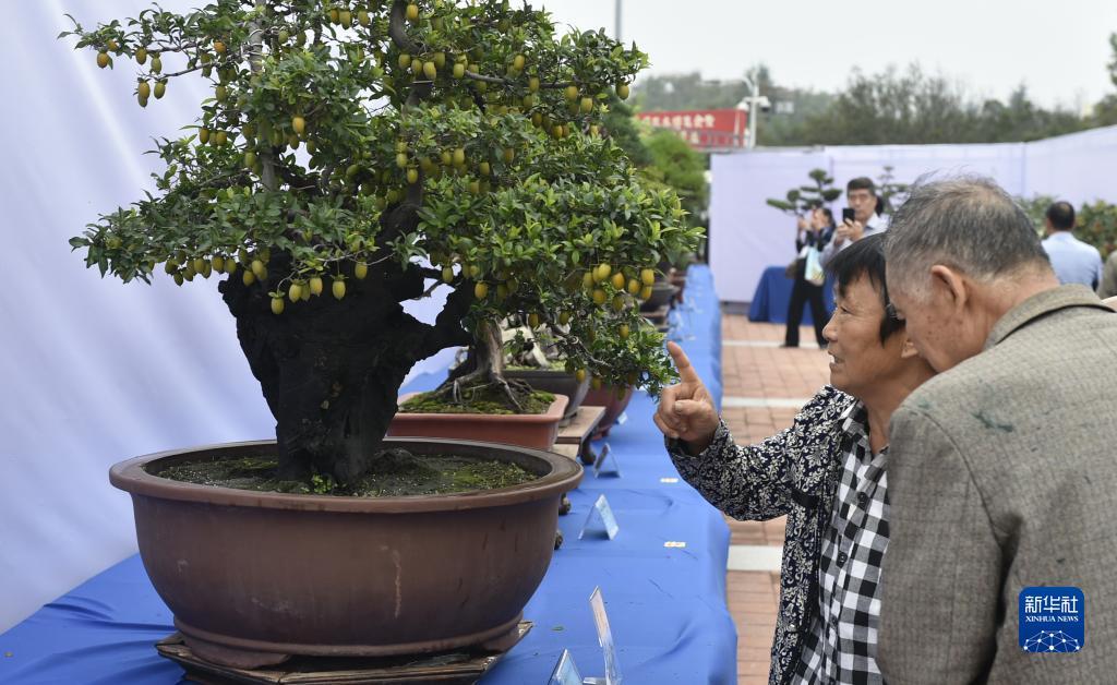 全新捕鱼注册